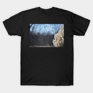 Pampas Grass Head T-Shirt